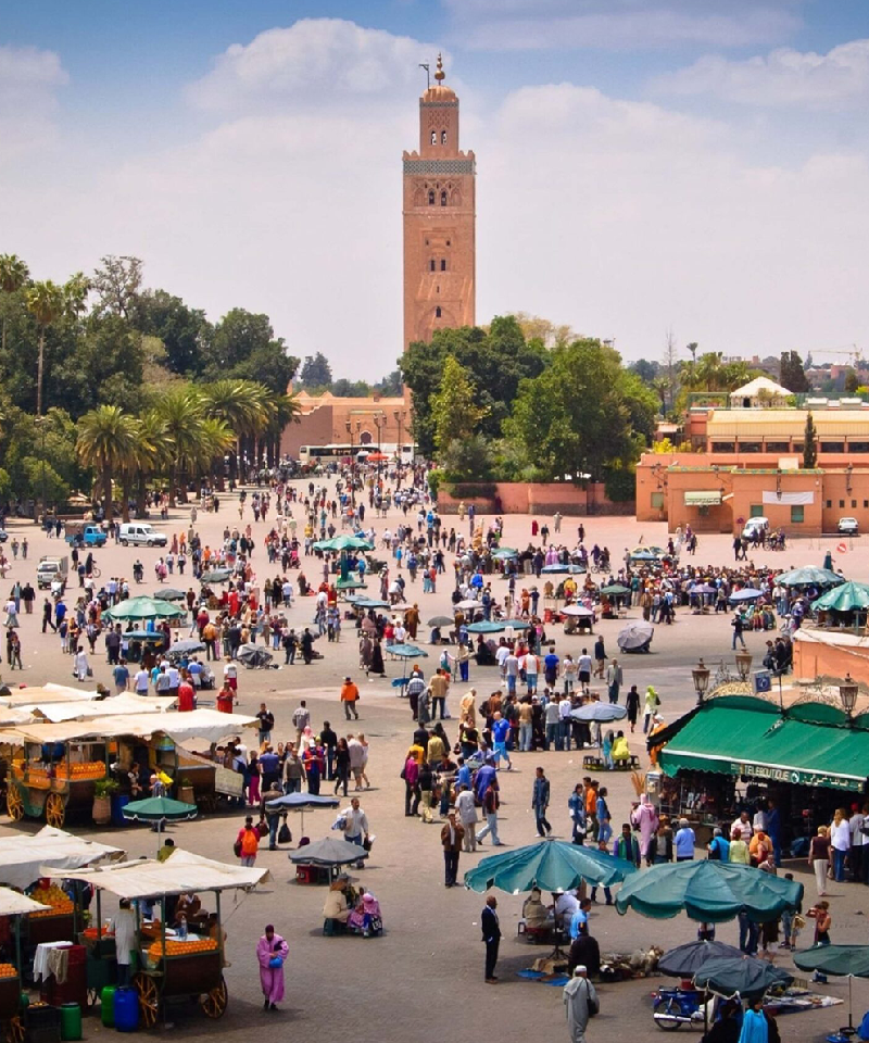 things to do in marrakech